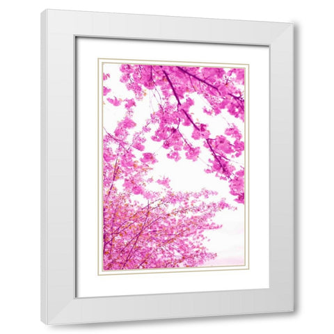 Bright Blooms I White Modern Wood Framed Art Print with Double Matting by Millet, Karyn