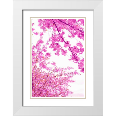 Bright Blooms I White Modern Wood Framed Art Print with Double Matting by Millet, Karyn