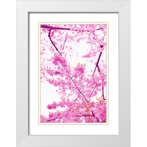 Bright Blooms II White Modern Wood Framed Art Print with Double Matting by Millet, Karyn