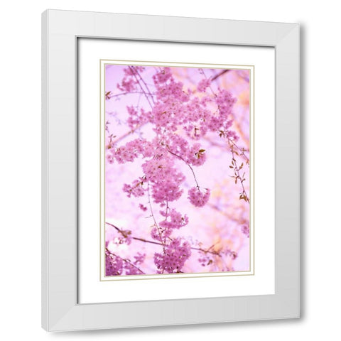 Bright Blooms III White Modern Wood Framed Art Print with Double Matting by Millet, Karyn