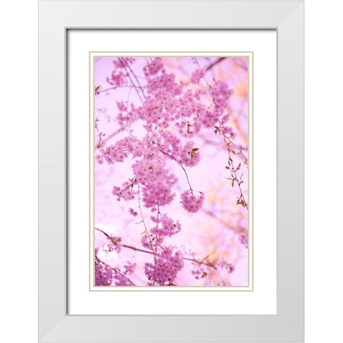 Bright Blooms III White Modern Wood Framed Art Print with Double Matting by Millet, Karyn