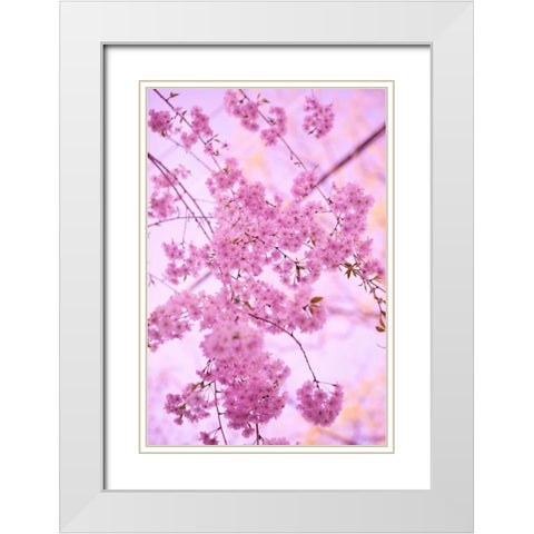 Bright Blooms IV White Modern Wood Framed Art Print with Double Matting by Millet, Karyn