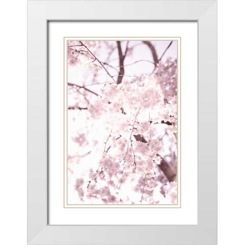 Soft Blooms I White Modern Wood Framed Art Print with Double Matting by Millet, Karyn