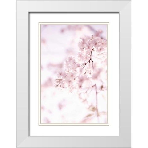 Soft Blooms II White Modern Wood Framed Art Print with Double Matting by Millet, Karyn