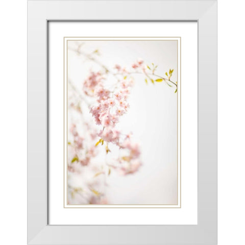 Soft Blooms IV White Modern Wood Framed Art Print with Double Matting by Millet, Karyn