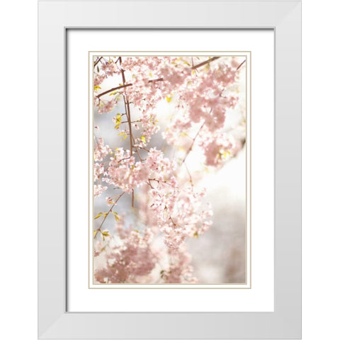 Soft Blooms V White Modern Wood Framed Art Print with Double Matting by Millet, Karyn