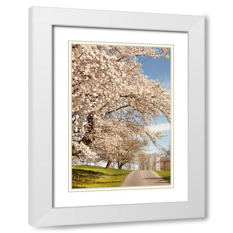 In the Park I White Modern Wood Framed Art Print with Double Matting by Millet, Karyn