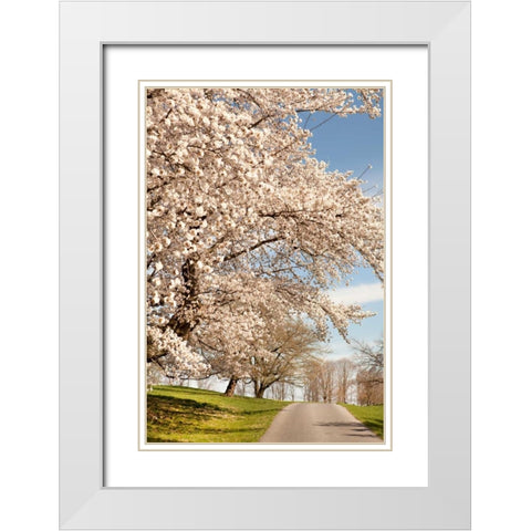 In the Park I White Modern Wood Framed Art Print with Double Matting by Millet, Karyn