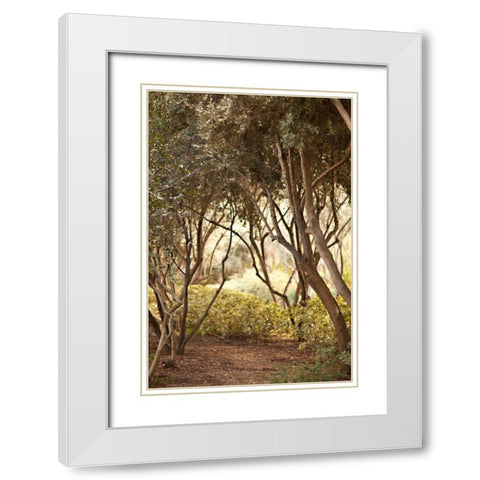 Secret Garden I White Modern Wood Framed Art Print with Double Matting by Millet, Karyn