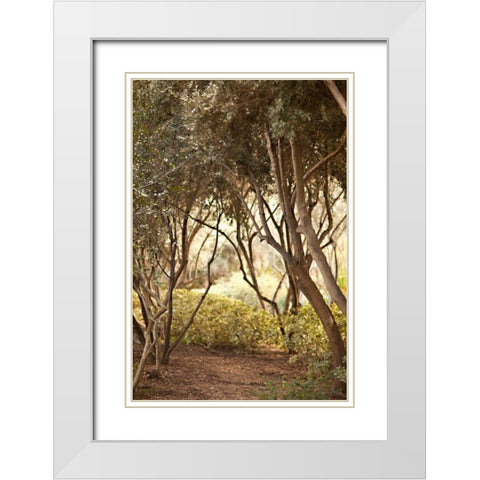 Secret Garden I White Modern Wood Framed Art Print with Double Matting by Millet, Karyn