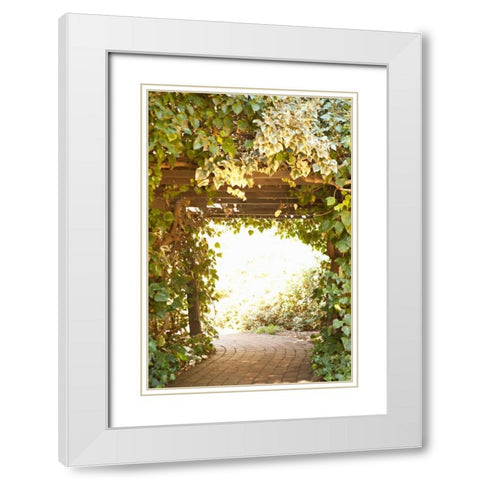 Secret Garden II White Modern Wood Framed Art Print with Double Matting by Millet, Karyn
