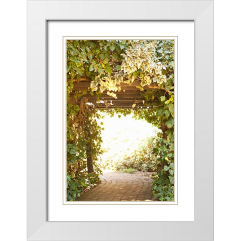 Secret Garden II White Modern Wood Framed Art Print with Double Matting by Millet, Karyn