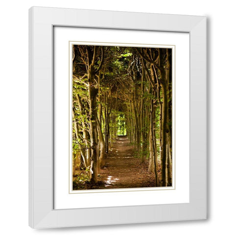 Secret Garden III White Modern Wood Framed Art Print with Double Matting by Millet, Karyn