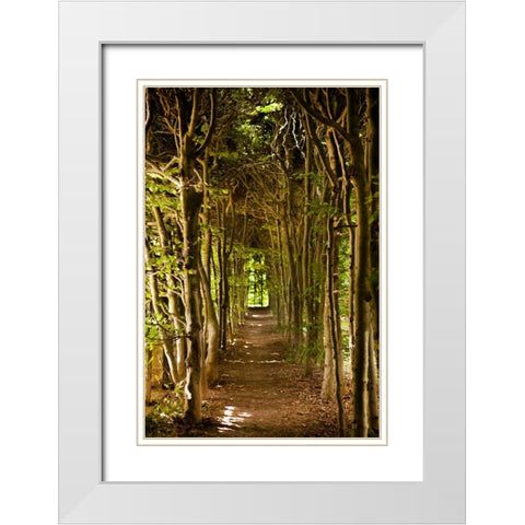Secret Garden III White Modern Wood Framed Art Print with Double Matting by Millet, Karyn
