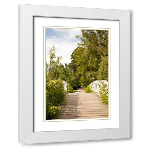 Secret Garden IV White Modern Wood Framed Art Print with Double Matting by Millet, Karyn