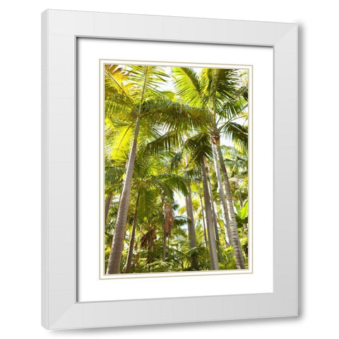 Tropical Oasis I White Modern Wood Framed Art Print with Double Matting by Millet, Karyn