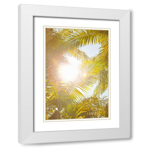 Tropical Oasis II White Modern Wood Framed Art Print with Double Matting by Millet, Karyn