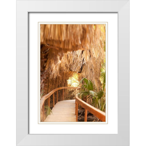 Palm Pathway I White Modern Wood Framed Art Print with Double Matting by Millet, Karyn