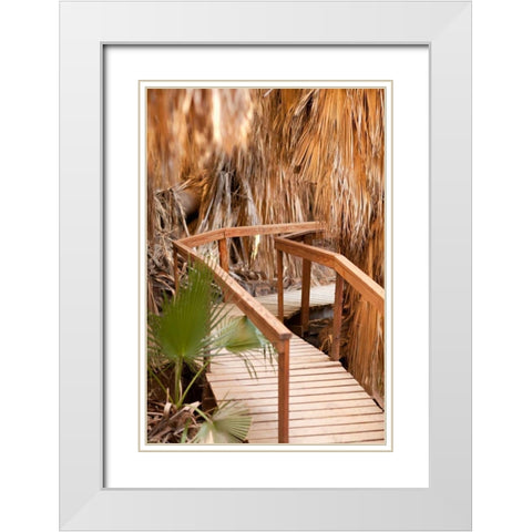 Palm Pathway II White Modern Wood Framed Art Print with Double Matting by Millet, Karyn