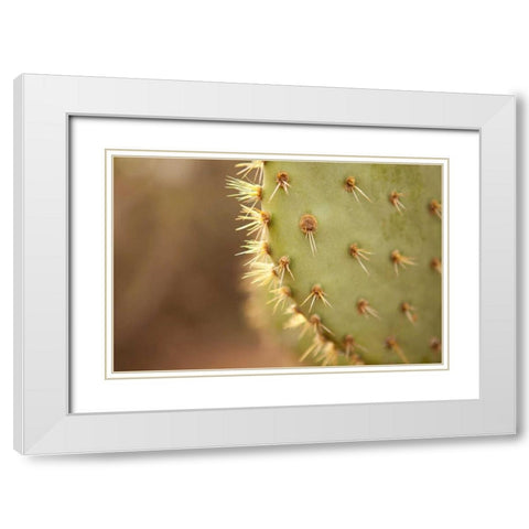 Cactus II White Modern Wood Framed Art Print with Double Matting by Millet, Karyn