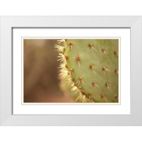 Cactus II White Modern Wood Framed Art Print with Double Matting by Millet, Karyn