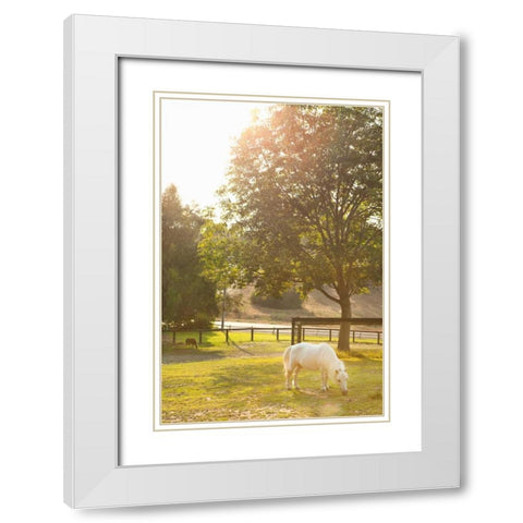 White Pony White Modern Wood Framed Art Print with Double Matting by Millet, Karyn