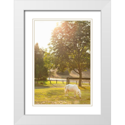 White Pony White Modern Wood Framed Art Print with Double Matting by Millet, Karyn