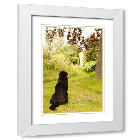 Watch Dog White Modern Wood Framed Art Print with Double Matting by Millet, Karyn
