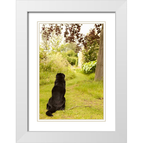 Watch Dog White Modern Wood Framed Art Print with Double Matting by Millet, Karyn