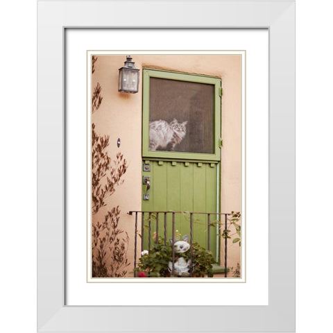 Kitty in the Window White Modern Wood Framed Art Print with Double Matting by Millet, Karyn