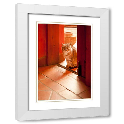 In the Sun White Modern Wood Framed Art Print with Double Matting by Millet, Karyn