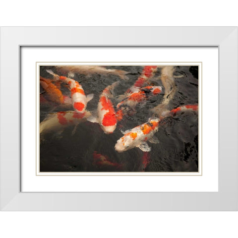 Koi I White Modern Wood Framed Art Print with Double Matting by Millet, Karyn