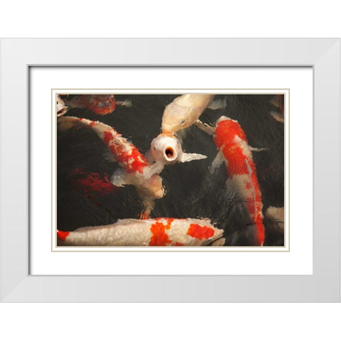 Koi II White Modern Wood Framed Art Print with Double Matting by Millet, Karyn