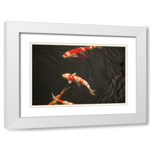 Koi IV White Modern Wood Framed Art Print with Double Matting by Millet, Karyn