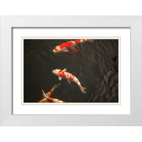 Koi IV White Modern Wood Framed Art Print with Double Matting by Millet, Karyn