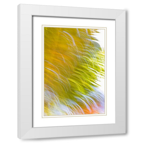 In Motion I White Modern Wood Framed Art Print with Double Matting by Millet, Karyn