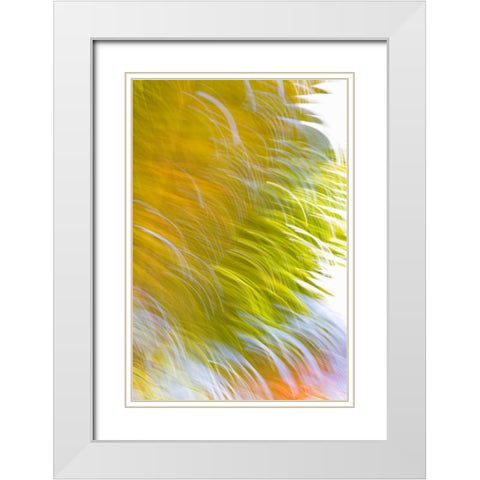 In Motion I White Modern Wood Framed Art Print with Double Matting by Millet, Karyn