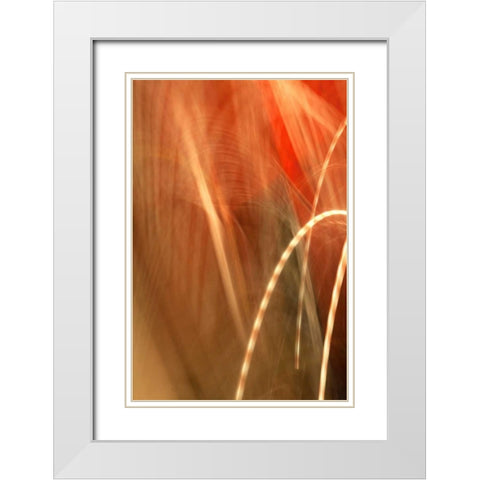 Copper Curves I White Modern Wood Framed Art Print with Double Matting by Millet, Karyn