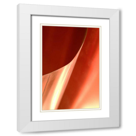 Copper Curves II White Modern Wood Framed Art Print with Double Matting by Millet, Karyn