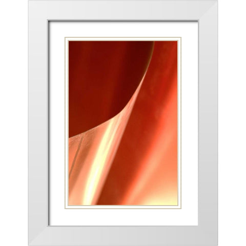 Copper Curves II White Modern Wood Framed Art Print with Double Matting by Millet, Karyn