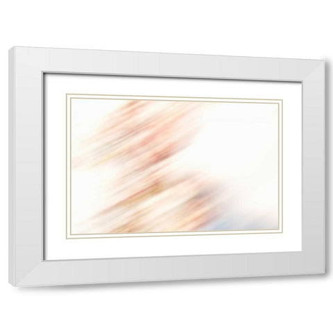 Color Streaks III White Modern Wood Framed Art Print with Double Matting by Millet, Karyn