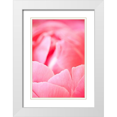 Pink Peony I White Modern Wood Framed Art Print with Double Matting by Millet, Karyn