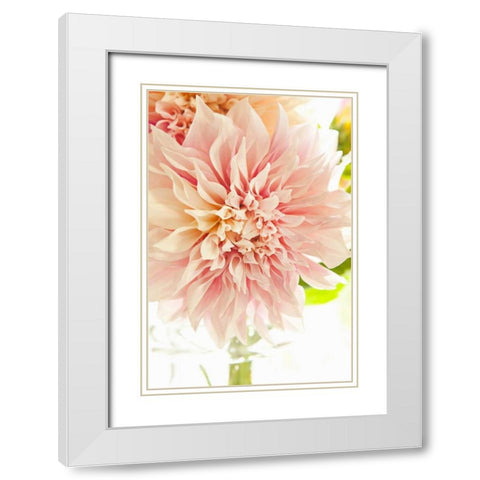 Pink Dahlia I White Modern Wood Framed Art Print with Double Matting by Millet, Karyn