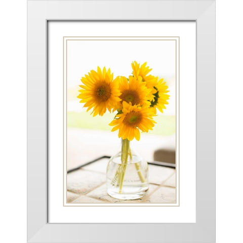 Sunflowers in Small Vase White Modern Wood Framed Art Print with Double Matting by Millet, Karyn