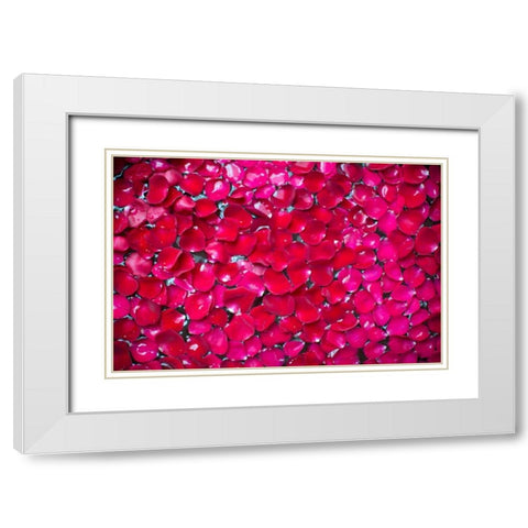 Pink Petals II White Modern Wood Framed Art Print with Double Matting by Millet, Karyn