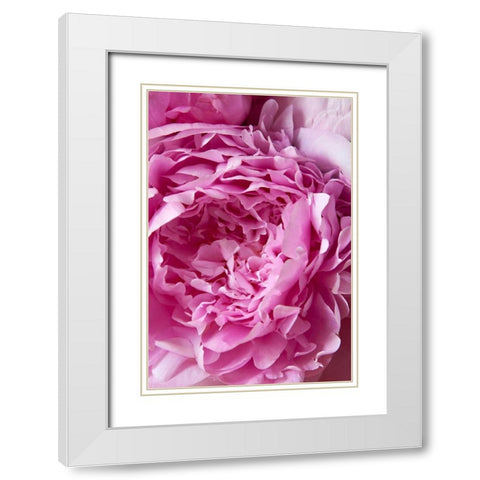 Peony White Modern Wood Framed Art Print with Double Matting by Millet, Karyn