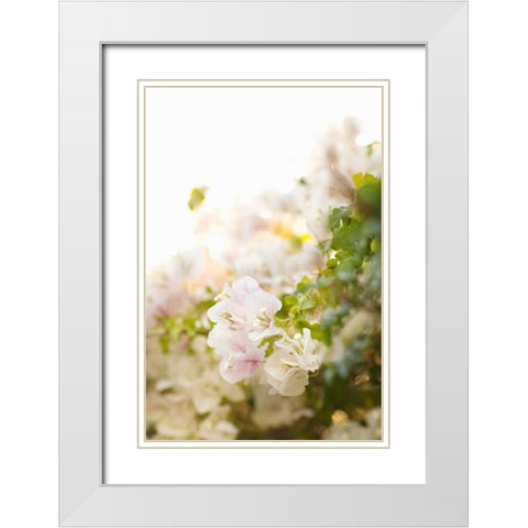 White Flowers IV White Modern Wood Framed Art Print with Double Matting by Millet, Karyn