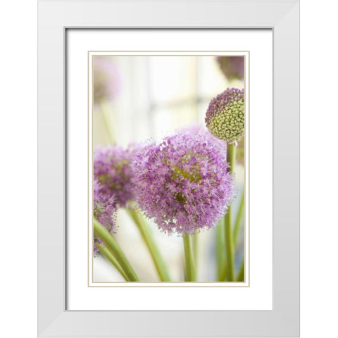 Blossoms I White Modern Wood Framed Art Print with Double Matting by Millet, Karyn