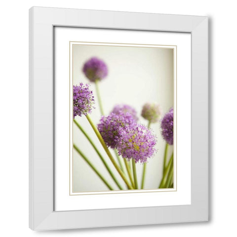 Blossoms II White Modern Wood Framed Art Print with Double Matting by Millet, Karyn