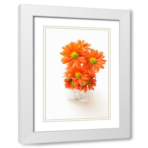 Spring Bouquet White Modern Wood Framed Art Print with Double Matting by Millet, Karyn